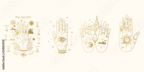 Golden celestial set of four palms with chiromantic lines and esoteric elements.  Hand drawn symbol  of prediction, fortune telling. Magic mystic vector illustration isolated on white background.