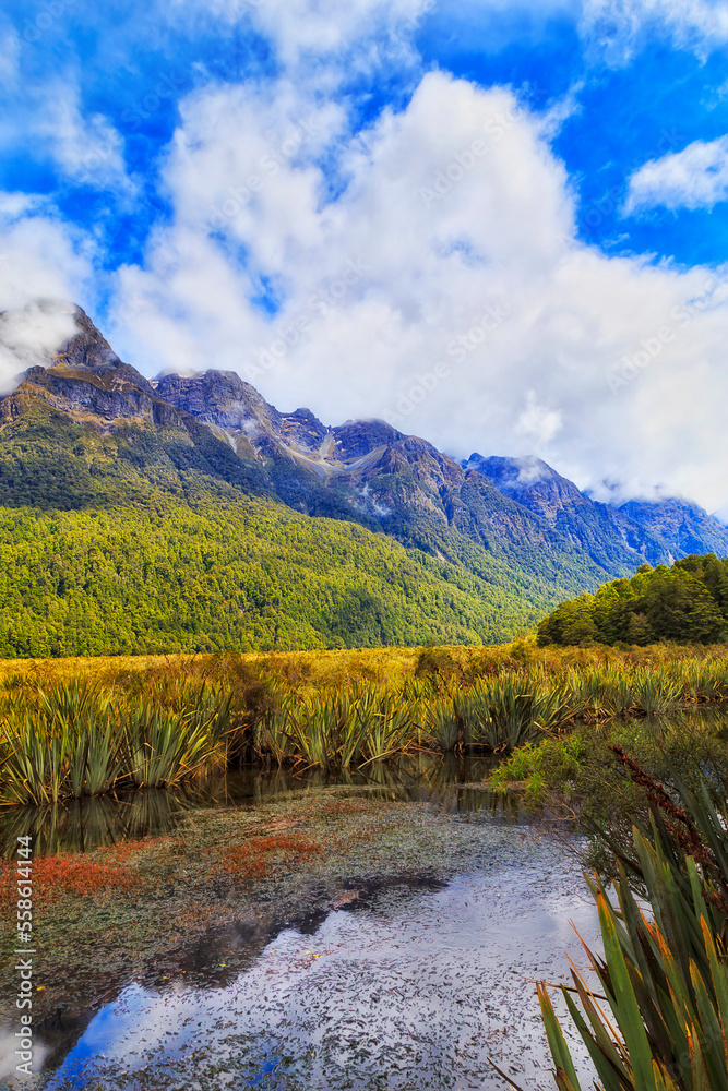 NZ Mirror lake rocks vert