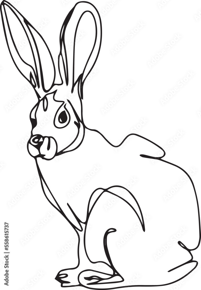 Obraz premium Rabbit vector illustration in line art 