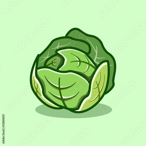 cute cabbage illustration in cartoon style on isolated background