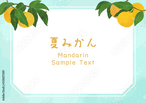みかん、柚子のフレームイラスト素材