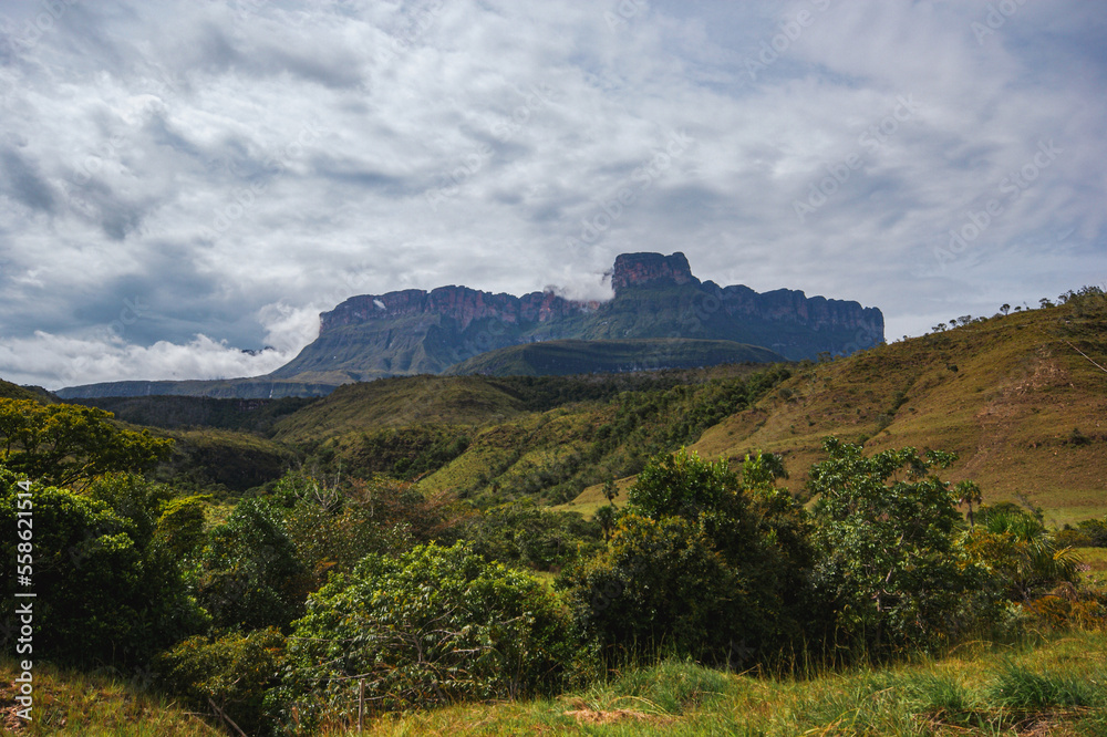 Scenic view of the Gran Sabana with Auyan Tepui in the background, Venezuela