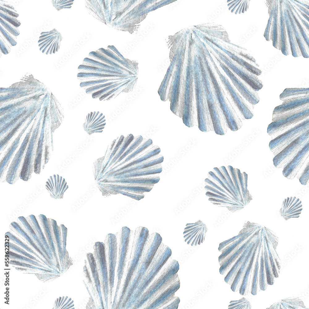 Obraz premium shells collection