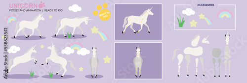 White Unicorn ready to animate with multiple poses accessories. Vector file labeled ready to rig. Horse riding, horse jumping, horses playing. Cute character. 