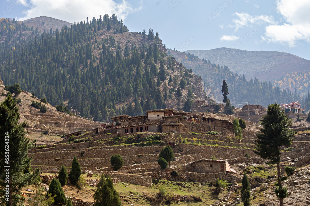 Traditional village houses on the hill in Northern Pakistan