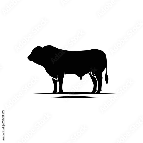 cattle angus cow buffalo bison livestock silhouette photo