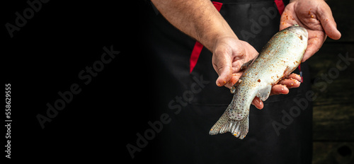 Fototapeta Naklejka Na Ścianę i Meble -  Male hands holding rainbow trout with lemon, garlic, herbs and spices, Fish dish cooking. Long banner format