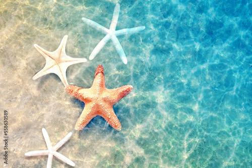 Starfish on the summer beach in sea water. Summer background.