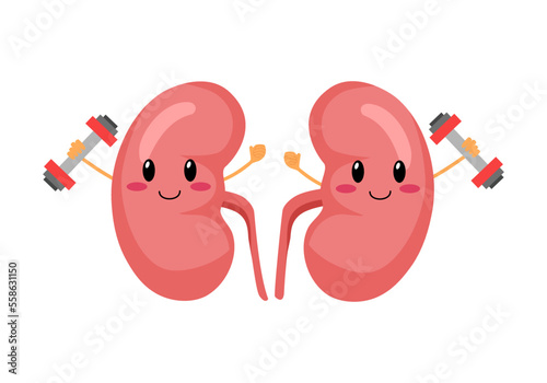 Cute kidney with dumbbells cartoon character in flat design on white background. Healthy kidney concept vector illustration.