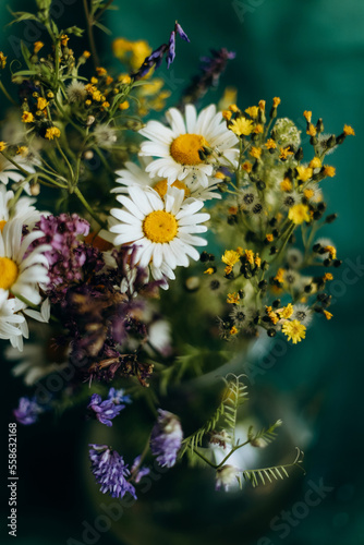 Bouquet of wildflowers in vase. Camomile flowers