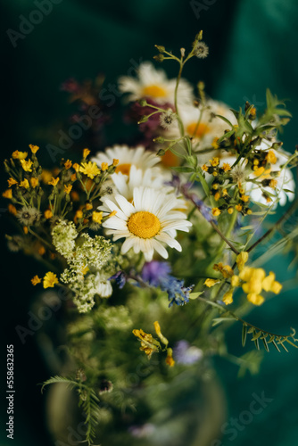 Wild flowers bouquet. Camomile bouquet in vase