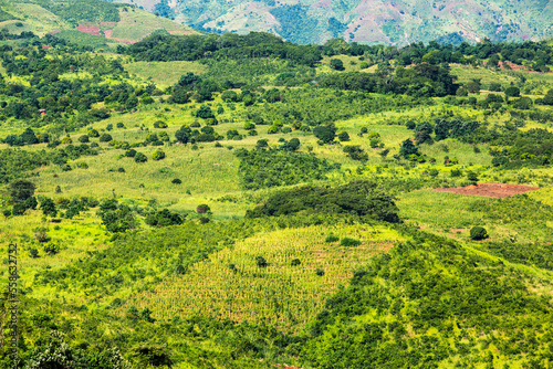 Scenery of deforested land, Shire Valley, Malawi photo