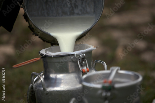 A shepherd collects milk in Villaluenga del Rosario, in the Sierra de Grazalema National Park, Cadiz province, Andalusia, Spain