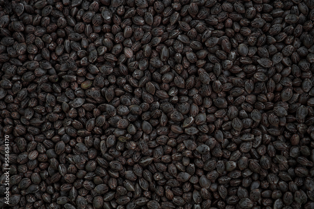 background of organic dried hemp seeds