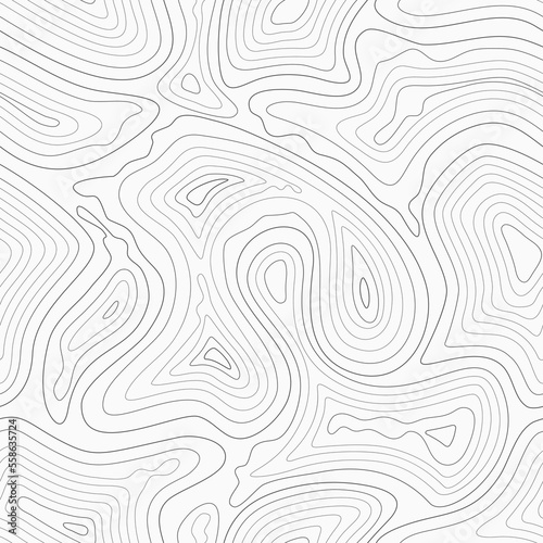 Fotografia Topographic contour lines vector map seamless pattern