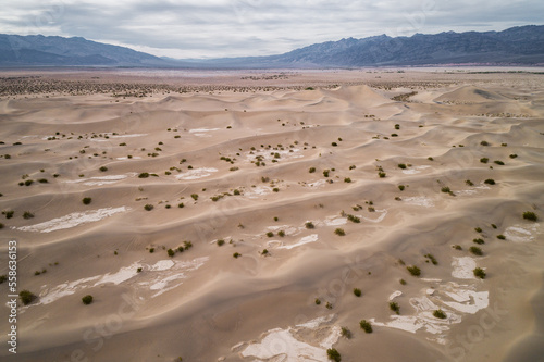 Mesquite Flat Sand Dunes in Death Valley. California. USA