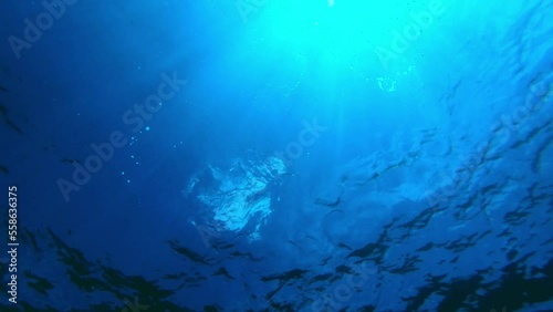 Wallpaper Mural Underwater shot of the surface of the ocean with rays of sunlight punching through the many nuances of blue Torontodigital.ca