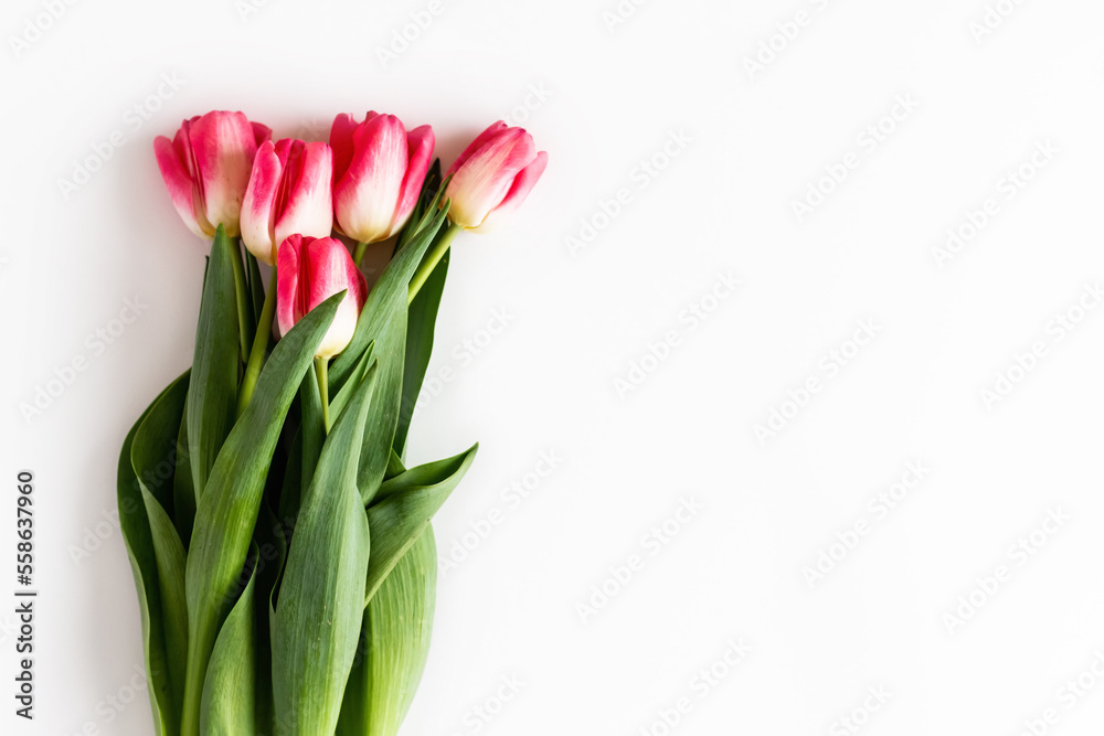 Pink tulip flowers bouquet on white background. Flat lay, top view. Selective focus. Shallow depth of field Pink tulip flowers bouquet on white background. Flat lay, top view. Selective focus. Shallow depth of field
