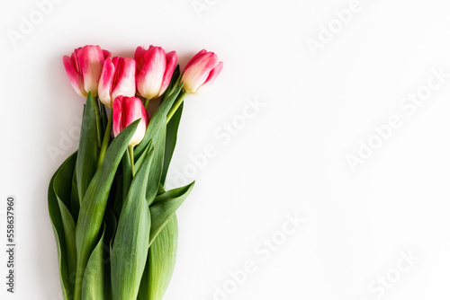 Pink tulip flowers bouquet on white background. Flat lay, top view. Selective focus. Shallow depth of field