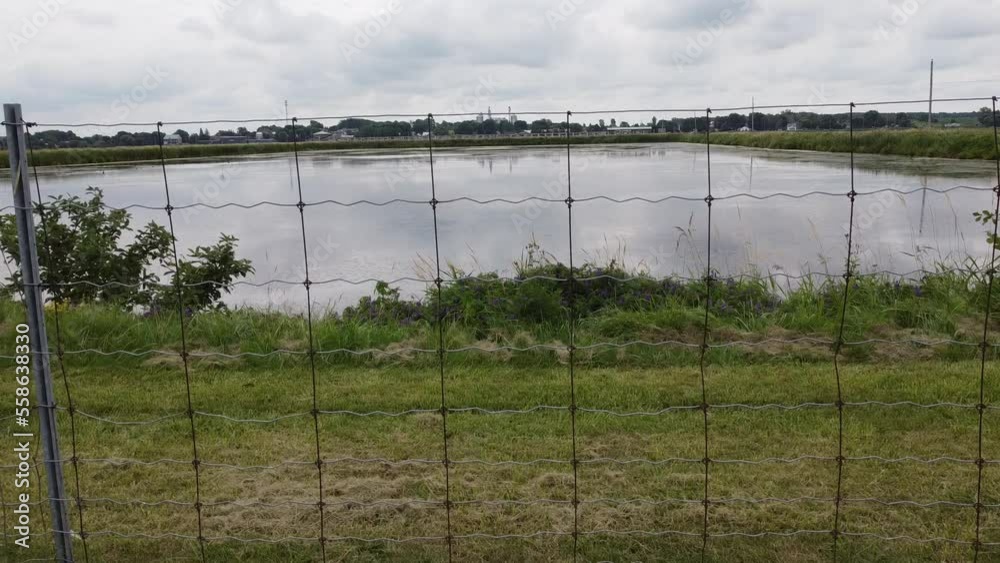Stockvideo le bassin de sédimentation des eaux usées du village de Baie