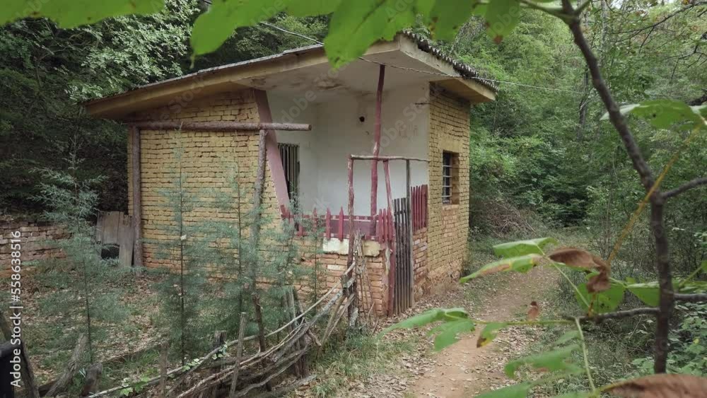 Old brick house in the forest. Abandoned shed, house in forest surrounded with trees and greenery Old brick house in the forest. Abandoned shed, house in forest surrounded with trees and greenery