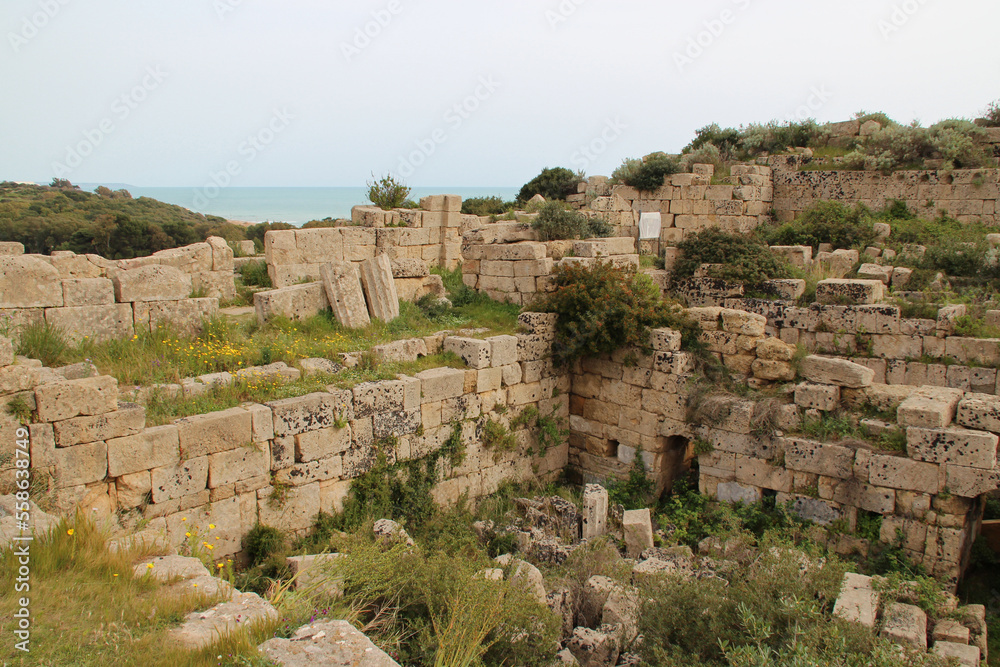 ruined greco-roman acropolis in selinunte in sicily (italy) 
