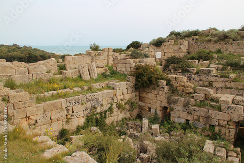 ruined greco-roman acropolis in selinunte in sicily (italy)  photo