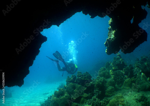 a diver in a coral cave in the crystal clear waters of the caribbean sea