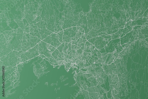 Stylized map of the streets of Oslo (Norway) made with white lines on green background. Top view. 3d render, illustration