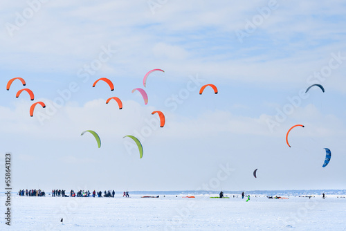 Snowkiting competitions with colored parachutes on a frozen river covered with snow in winter