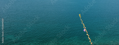 A branch of fresh Chaparral mallow growing in the mountains on the shores of the Aegean Sea and the magnificent sea surface of the Aegean in turquoise tones. Malacothamnus fasciculatus branch. photo