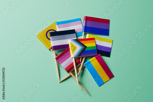 bung of LGBTIQA flags on a green background photo