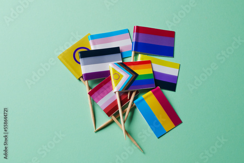 Obraz na płótnie bung of LGBTIQA flags on a green background