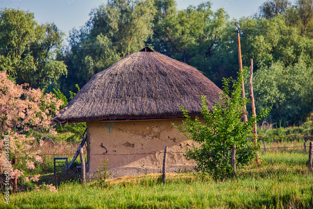 traditional house from the Danube Delta with a reed roof traditional house from the Danube Delta with a reed roof