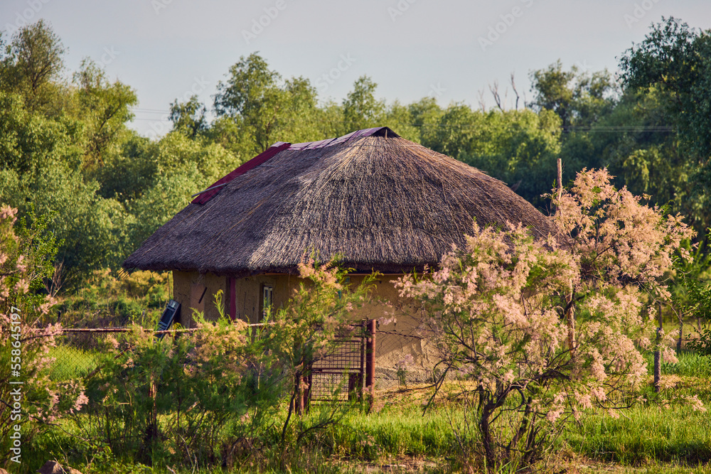 traditional house from the Danube Delta with a reed roof traditional house from the Danube Delta with a reed roof