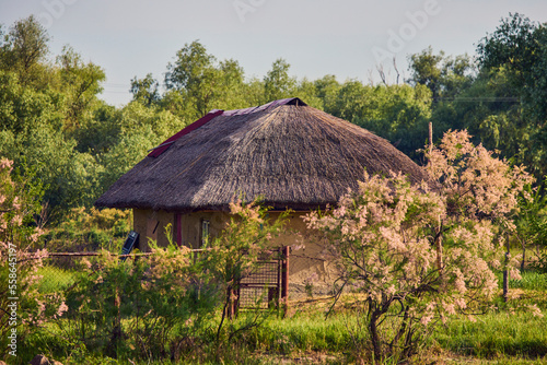 traditional house from the Danube Delta with a reed roof