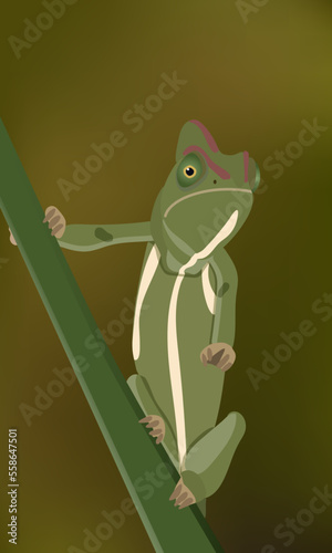 Flat chameleon wildlife nature vector