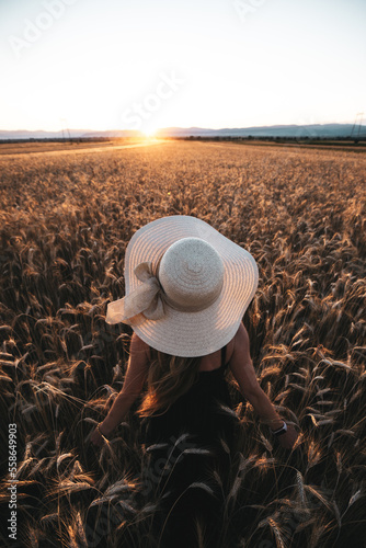 Girl wheat field summer. Ha...