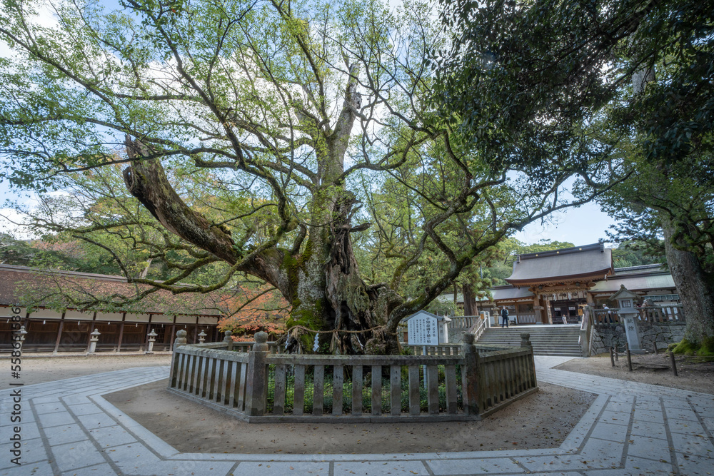 大山祇神社