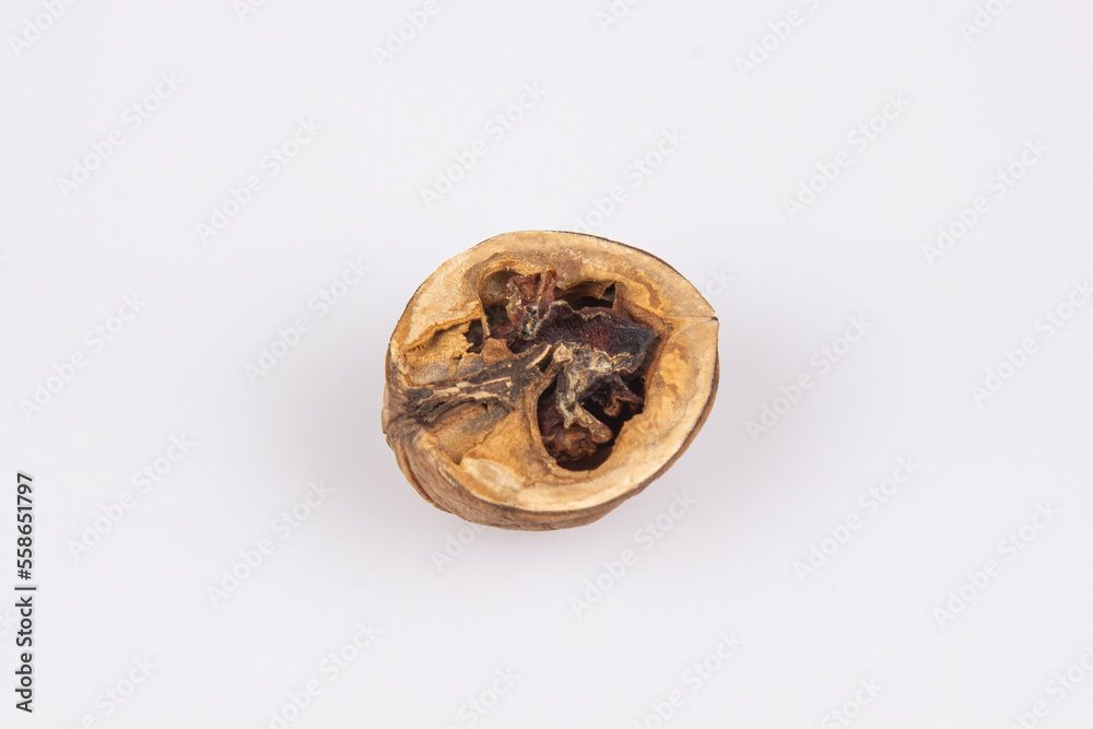 Close-up of a open walnut with rotten nut kernel. View of two walnuts isolated on white background. Rotten Nuts. Old Nuts. Close-up of a open walnut with rotten nut kernel. View of two walnuts isolated on white background. Rotten Nuts. Old Nuts.