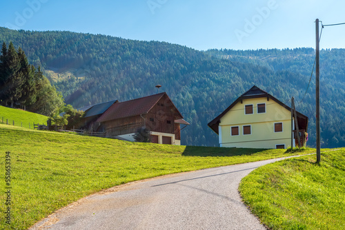 Rural houses by country road in Austrian Alps, village of Amberg, Carinthia, Austria.