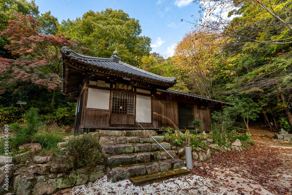 日入の滝