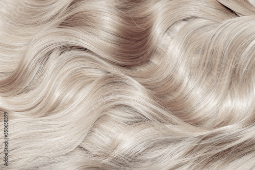 Blond hair close-up as a background. Women's long blonde hair. Beautifully styled wavy shiny curls. Hair coloring. Hairdressing procedures, extension. White hair