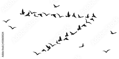 Vector silhouette of a flying bird. Inspiring ink for flash tattoos on the body. The concept of freedom and flight. Design element for tattoos, apps and websites