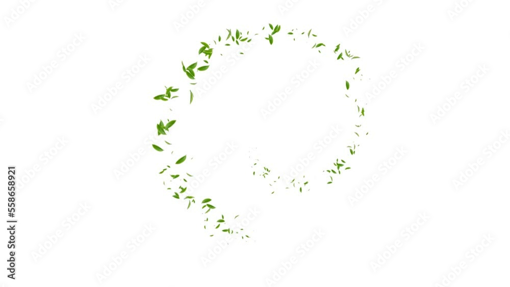 Flying green tea with white transparent background. animated leaves footage Flying green tea with white transparent background. animated leaves footage