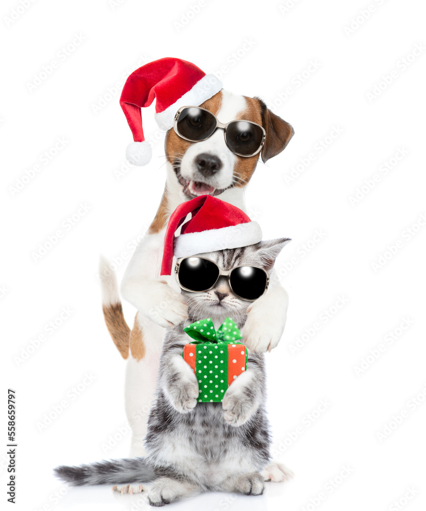Happy Jack russell terrier puppy and funny cute kitten wearing sunglasses and santa hats standing together with gift box. isolated on white background