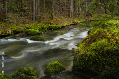 Wildbach im Allgäu.
