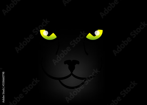 cat face with green eyes black background
