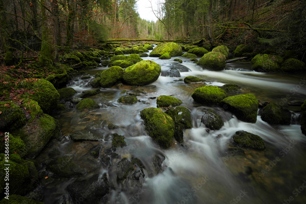 Fototapeta premium Wildbach im Allgäu. 