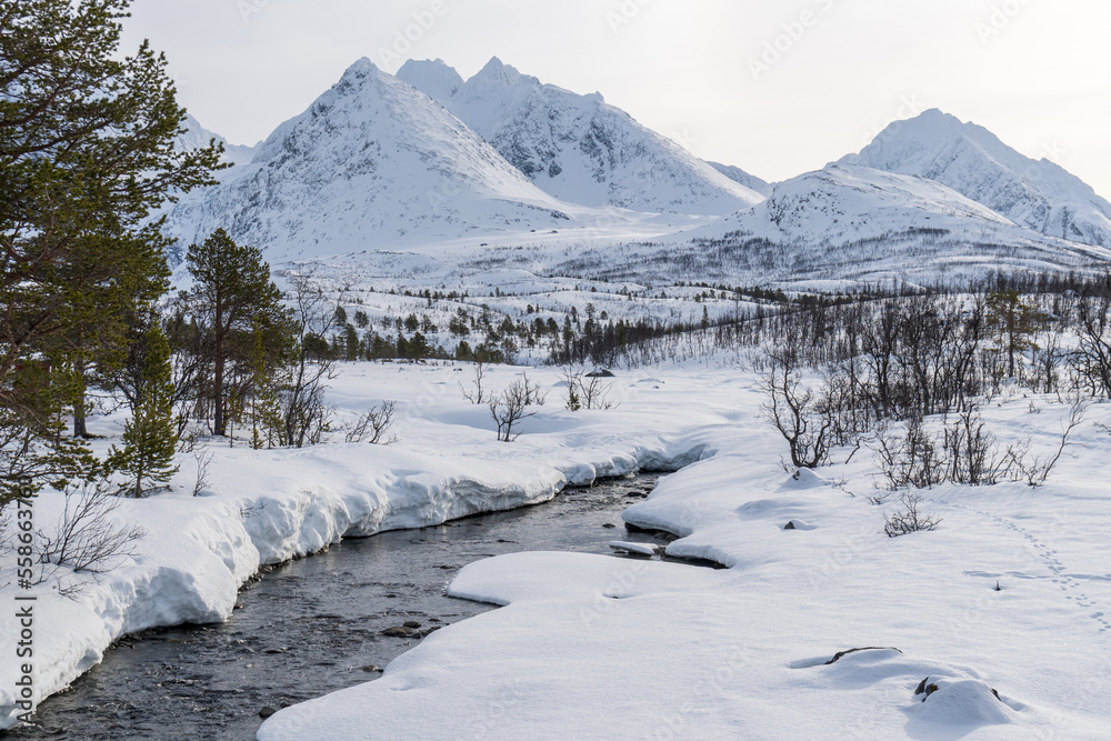 Norwegen, Winter, Senja, Hesten, Fjorde